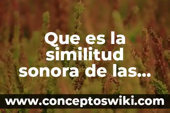Que es bienestar social de sonora 3 Que es la similitud sonora de las palabras