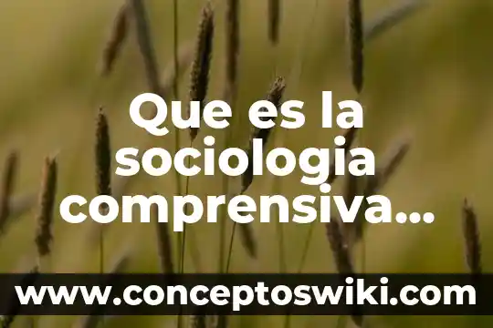 Max weber ciencias sociales que es 7 Que es la sociologia comprensiva segun max weber