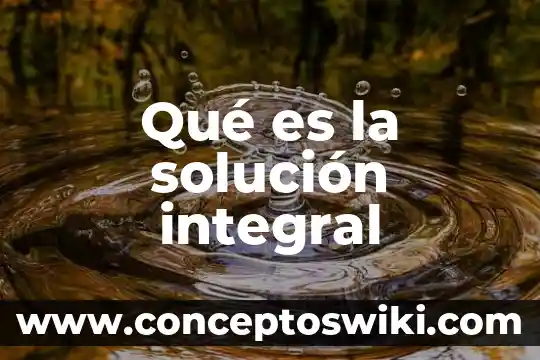 Que es una solución y tipos 8 Qué es la solución integral