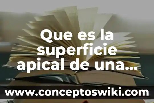 Que es deporte y sus tipos 3 Que es la superficie apical de una membrana celular