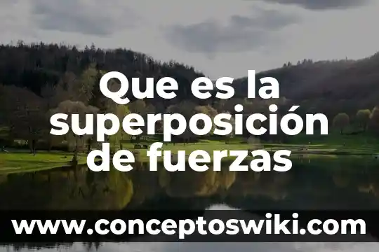 Qué es la suma de fuerzas 4 Que es la superposición de fuerzas