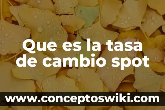 Que es tasa de cambio constante 3 Que es la tasa de cambio spot