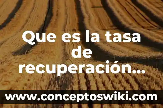 Exportación y recuperación de datos en informática que es 3 Que es la tasa de recuperación administrativa