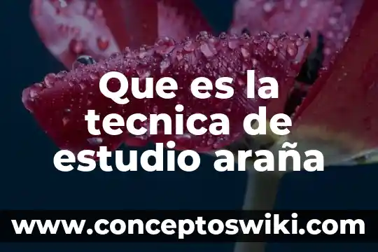 Que es un esquema de sol y araña 3 Que es la tecnica de estudio araña