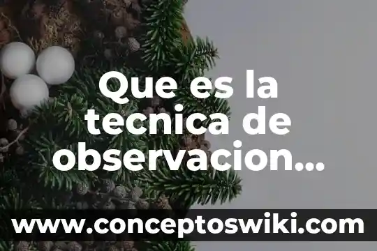 Que es la observacion sistemica 8 Que es la tecnica de observacion especifica biblicamente