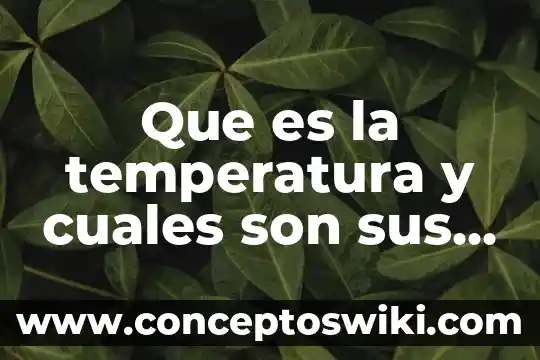 Que es y cuales son las caracteristicas de un soneto 4 Que es la temperatura y cuales son sus escalas termometricas