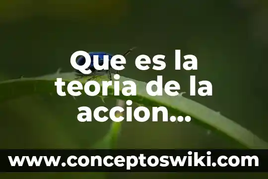 Qué es teoría ética naturalista 6 Que es la teoria de la accion comunicativa