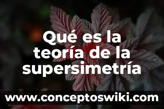 ¿Qué es lo que Vygotsky decía de su teoría? 7 Qué es la teoría de la supersimetría