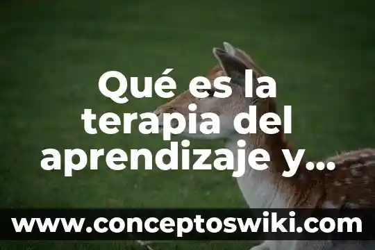 Qué es una barrera de aprendizaje 4 Qué es la terapia del aprendizaje y pros y contras