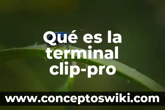 Castor green terminal que es 5 Qué es la terminal clip-pro
