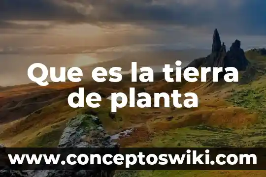 Qué es la planta de sesamo 3 Que es la tierra de planta