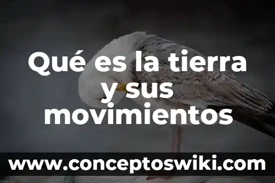 Que es las clases trabajadoras y los primeros movimientos obreros 4 Qué es la tierra y sus movimientos