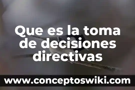 Directivas de avance que es 3 Que es la toma de decisiones directivas