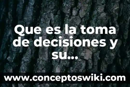 Que es la toma de agua en una central hidroelectrica 5 Que es la toma de decisiones y su importaancia