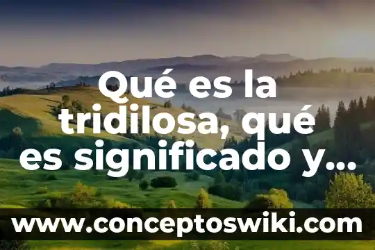 Qué es el voleibol y el significado de los números 6 Qué es la tridilosa, qué es significado y concepto