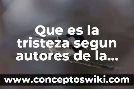 Qué es un préstamo según chiavenato 7 Que es la tristeza segun autores de la psicologia