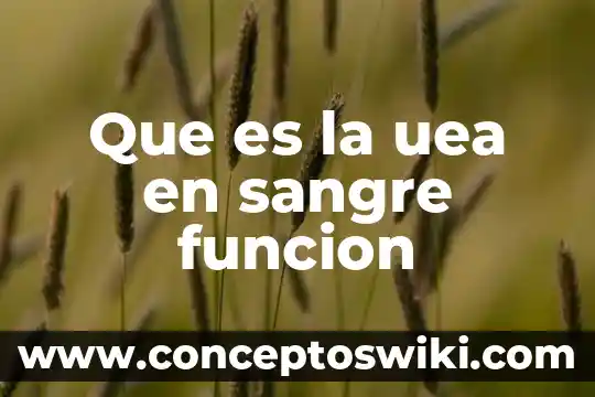 En estudio de sangre que es pcr 5 Que es la uea en sangre funcion