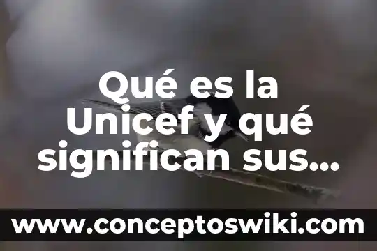 Que es el significado de las siglas pnb 3 Qué es la Unicef y qué significan sus siglas