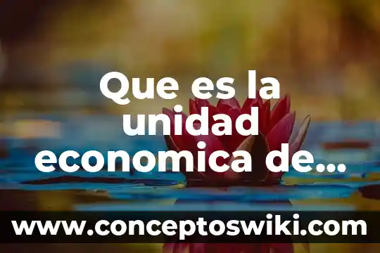 Que es el consumo interno 6 Que es la unidad economica de consumo
