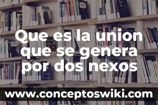 Que es lo que genera adiccion al sexo 3 Que es la union que se genera por dos nexos