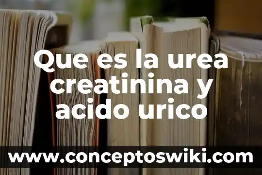 Qué es el ácido politetrafluoroetileno ptfe problemas en la salud 8 Que es la urea creatinina y acido urico