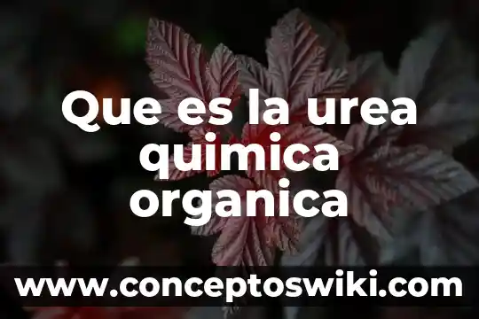 Qué es la química orgánica 7 Que es la urea quimica organica