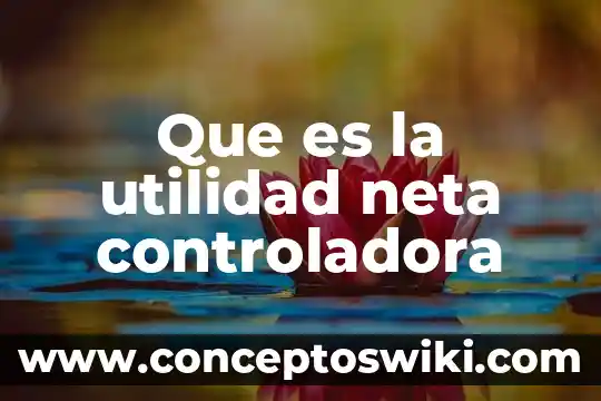 Que es la utilidad neta del ejercicio en contabilidad 4 Que es la utilidad neta controladora