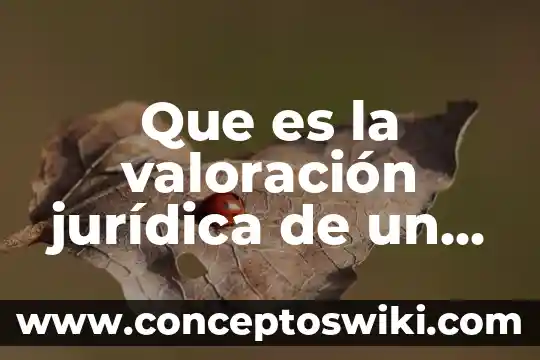 Que es la planta de cafe de vivero 8 Que es la valoración jurídica de un delito