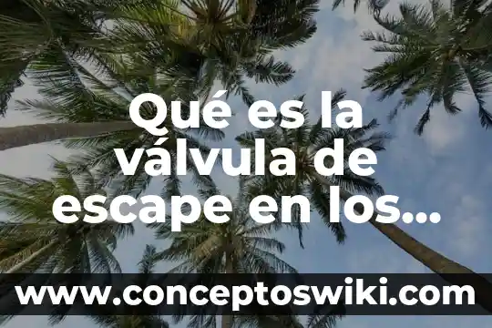 Que es el sistema de escape diesel diagrama de flujo 3 Qu茅 es la v谩lvula de escape en los medios