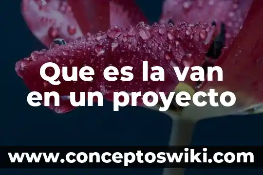 Ludwig Van Beethoven por que es importante 4 Que es la van en un proyecto