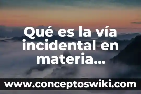 Qué es crédito mercantil adquirido 8 Qué es la vía incidental en materia mercantil