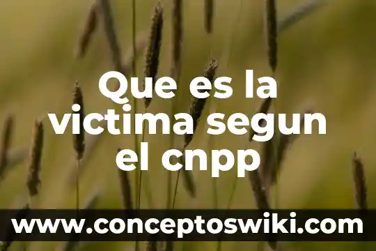 Que es el embarazo en adolescentes segun la oms 4 Que es la victima segun el cnpp