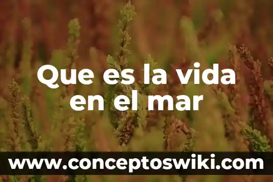 Que es una estrella de mar explicacion para niños 8 Que es la vida en el mar