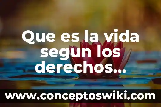 Por qué es importante el sol para los seres humanos 8 Que es la vida segun los derechos humanos