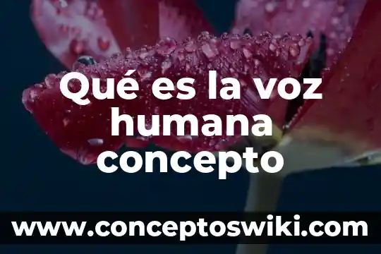 Que es la voluntad humana 6 Qué es la voz humana concepto