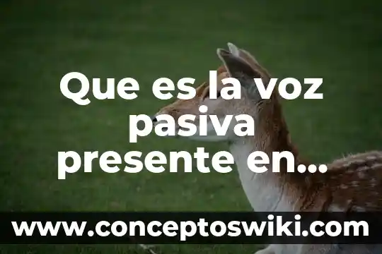 Que es un modelo cientifico en fisica 3 Que es la voz pasiva presente en ingles de build