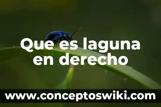 Qué es un seudónimo en derecho 6 Que es laguna en derecho