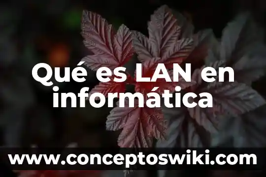 Que es una red lan definicion 8 Qué es LAN en informática