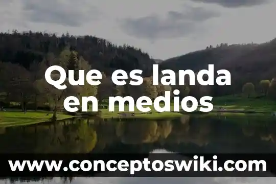 Que es un guru de los medios 4 Que es landa en medios