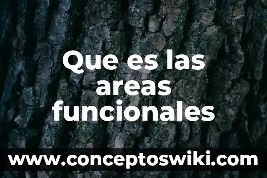 Que es el desarrollo funcionales y como se compone 4 Que es las areas funcionales
