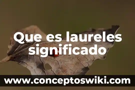 Qué es una toalla facial significado 5 Que es laureles significado