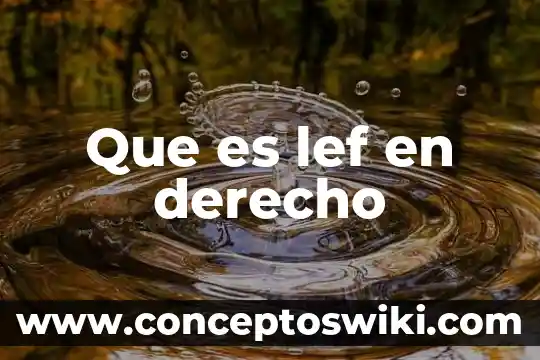Y que es derecho 7 Que es lef en derecho