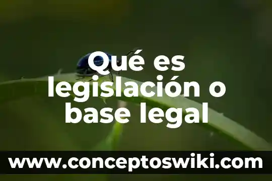 Qué es legislación comercial en mercadotecnia 8 Qué es legislación o base legal