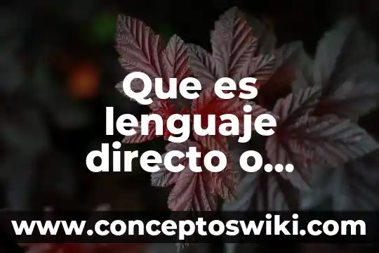 Qué es el lenguaje de descripción o definición 6 Que es lenguaje directo o indirecto
