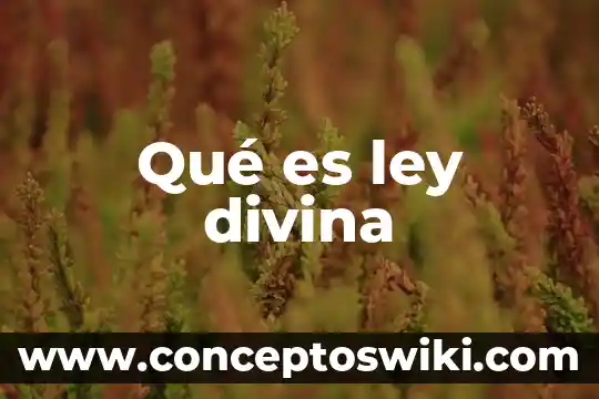 Que es decicion y tipos de decicion 5 Qué es ley divina