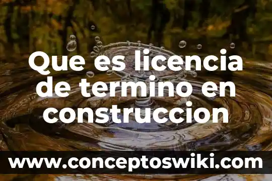 Qué es un bebé recién nacido a término 4 Que es licencia de termino en construccion