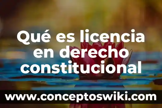 Recurso en derecho que es 3 Qué es licencia en derecho constitucional
