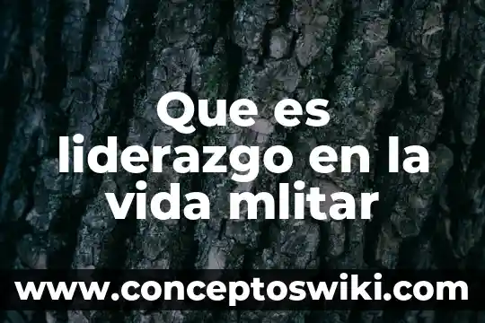 Que es estilo de vida sin residuos 5 Que es liderazgo en la vida mlitar