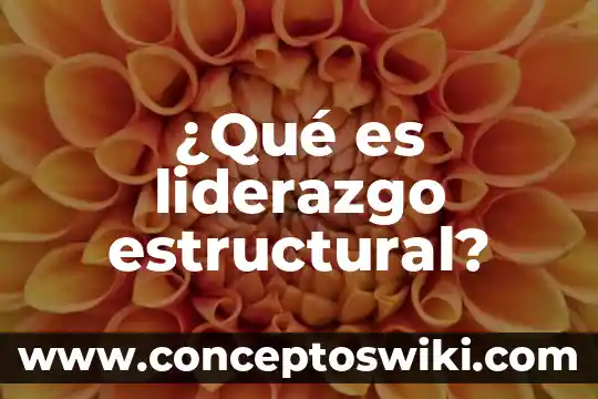 Qué es un diafragma estructural 6 ¿Qué es liderazgo estructural?