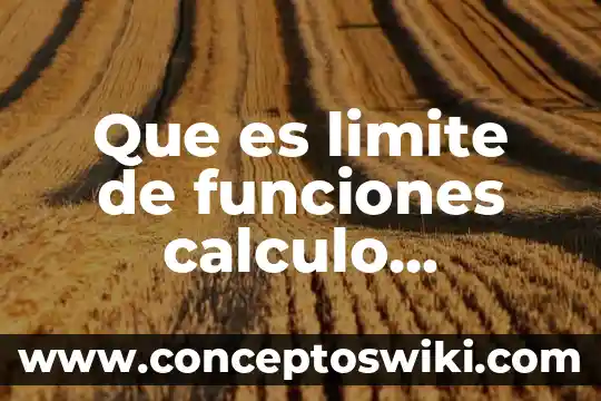 Que es funciones en calculo diferencial 3 Que es limite de funciones calculo vectorial